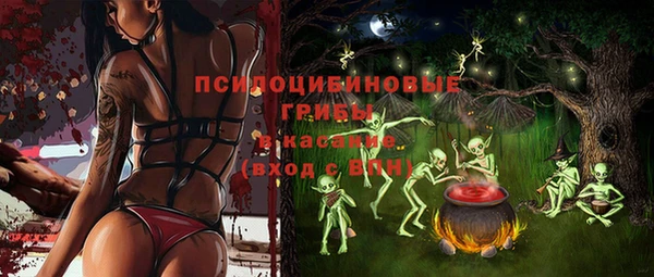 индика Арсеньев