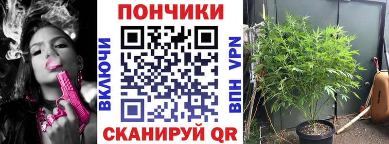 Конопля OG Kush  Купить закладки  Углегорск 